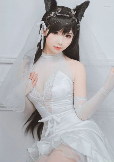 大唐荣耀电视剧免费全集